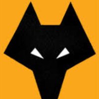 Looking for the answers