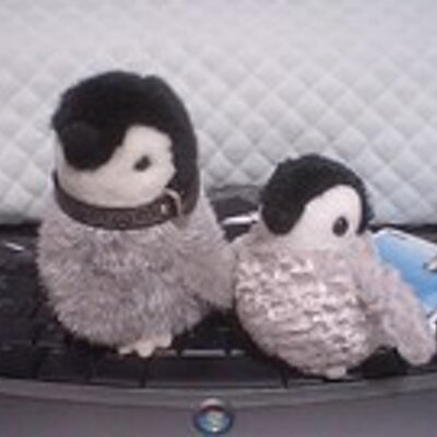 ふらが＠怠惰＠