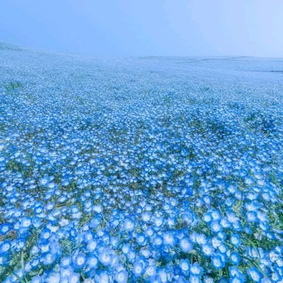 korokoro@　で？いつ辞めるん！