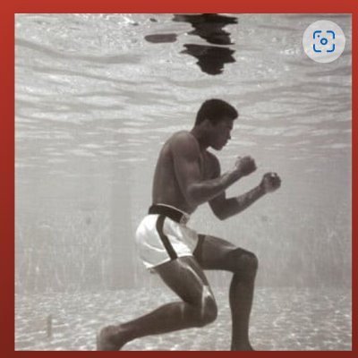 Stephen Kalil🇨🇦🇺🇸