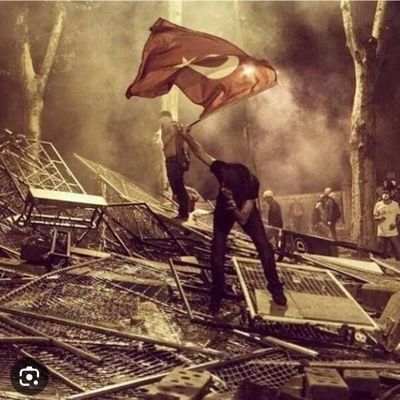 Turkish Lives Matter (TLM)