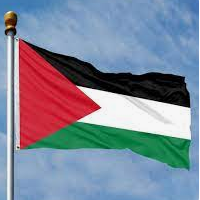 Kate Emerson 🇵🇸 🔻