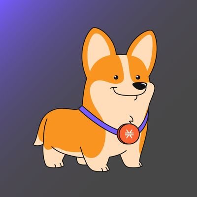 Happy $Welsh Project 🐶