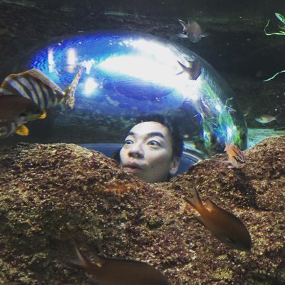 Lチカは情操教育