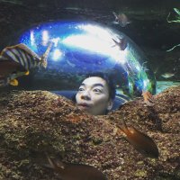 Lチカは情操教育