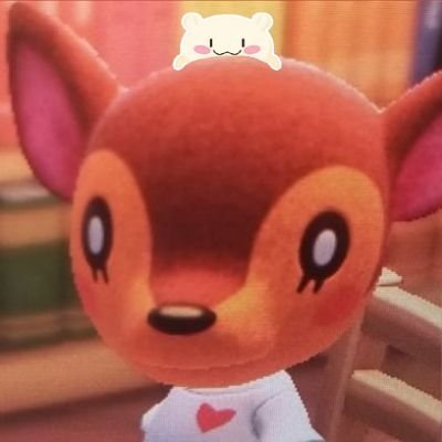 *･宝石あなた· *mao·͜·ᰔᩚ