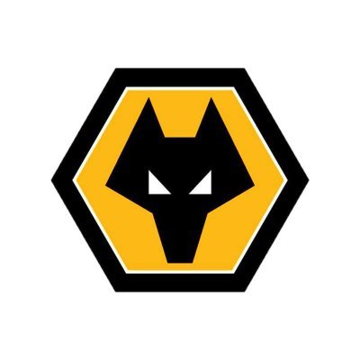 Wolves Academy