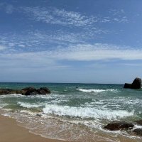 羊肉烩面胡辣汤-互fo