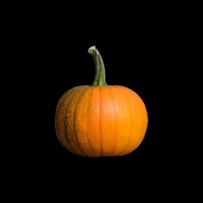 🎃Pumpkin Seed🎃