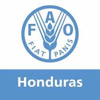 FAO HONDURAS