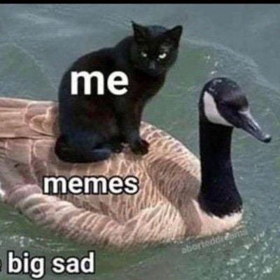 Mr captain save a ho