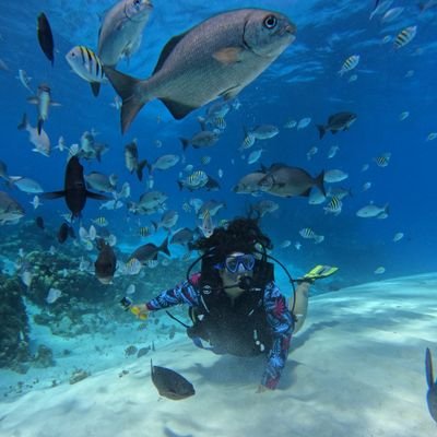 Ballestrinque ☔ | Magnolias.