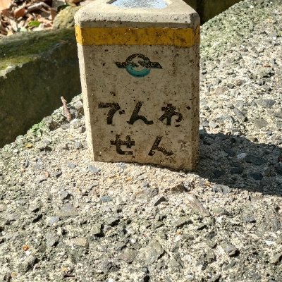 マズタカ🇧🇷ムリせず