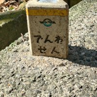 マズタカ🇧🇷ムリせず