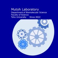 武藤研究室@東邦大学 理学部 生物分子科学科