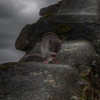 ゴブリン・モリス