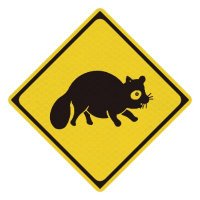 彷徨狸【タヌキ横暴注意】