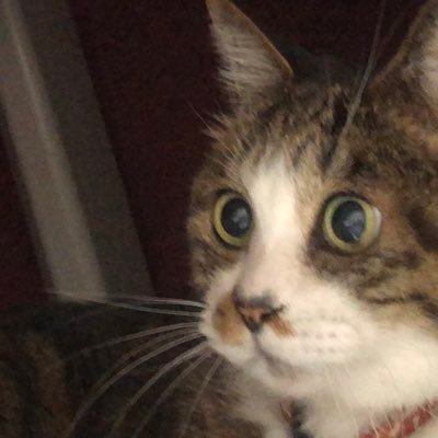 ブルーのマスク