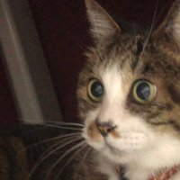 ブルーのマスク