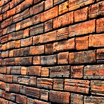 Sharkula (773)647-4995🌍🌎🌏