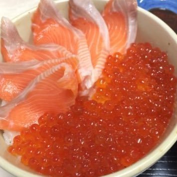 今日も誰かのにちようび(おいしい鮭親子丼)
