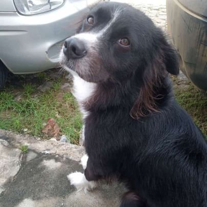 Aline Silva🌵😍🤩