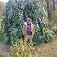 Sachin Acharya🇳🇵✨️