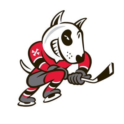 x-Niagara IceDogs