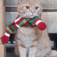 Socialist and Proud 💙