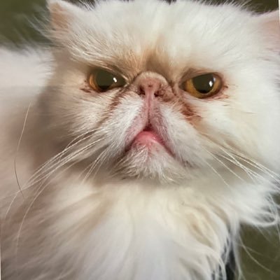 Cath Ⓜ️ ✡️ ✝️