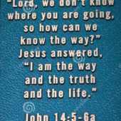 🇺🇸TERM LIMITS NOW!🇺🇸