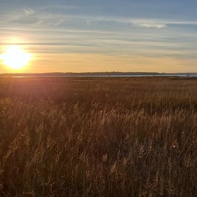 Jeff Noble🍎🇨🇦