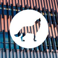 NC State Engineering