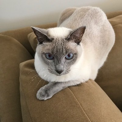 C.T.S -Jazz50 🇬🇷🇨🇦😻😷🌱🌻masked and vaxxed 💉