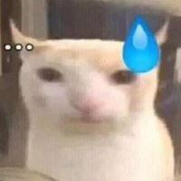 gato debiumental tom ﾒ𝟶