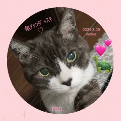 yasue♡K-SEA ·͜·ᰔᩚ