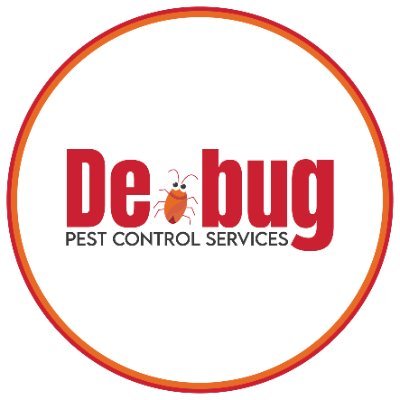 Debug