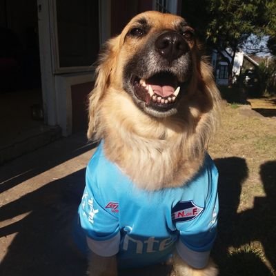 Fede🇨🇵🇬🇳