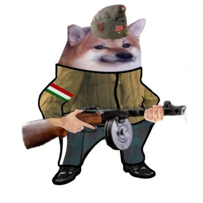 Szabadság1956🇺🇸 Слава Україні!🇺🇦 Tisza2026🇭🇺