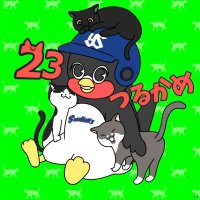 つるかめ🐈生涯スワローズファン🐧