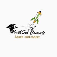 MathSci Consult