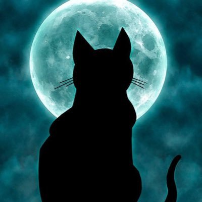 Cat Moon 🌙