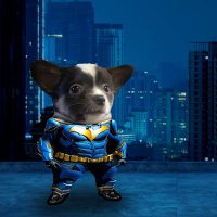 Max, Batman & #WiddyFella