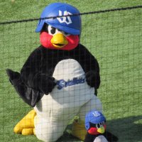 東京ヤクルトスワローズ・すわかつ （神宮メイン🏟）