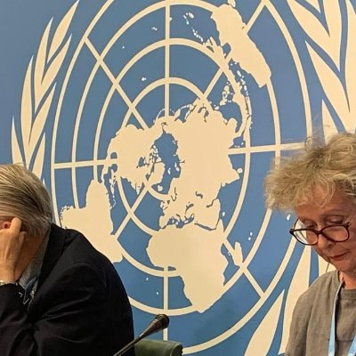 UN Syria Commission of Inquiry