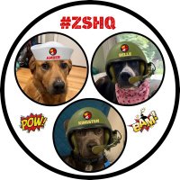 Amber, Belle & Kingston 🐾