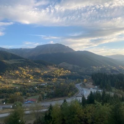 🧚🦋☘️🌿🍀🌲🙏