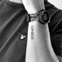 Quintus Poppaedius Silo