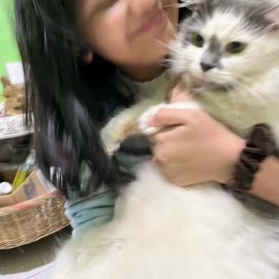 angita open joki tugas