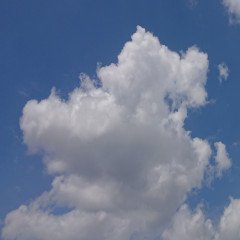 ナストンのまとめ